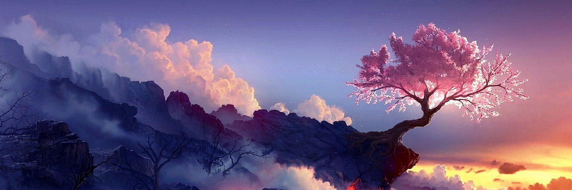 Aidonnou2's profile banner image