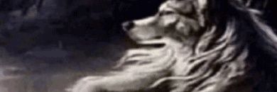 akeejjdjci's profile banner image