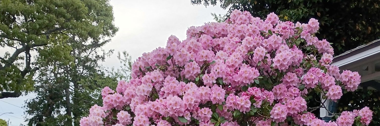 17171One's profile banner image