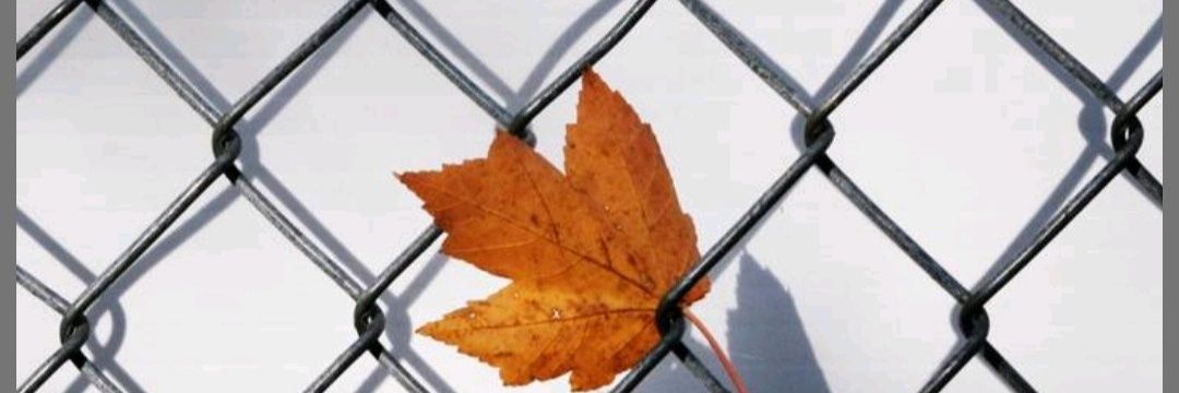 MMERVKOSEE's profile banner image