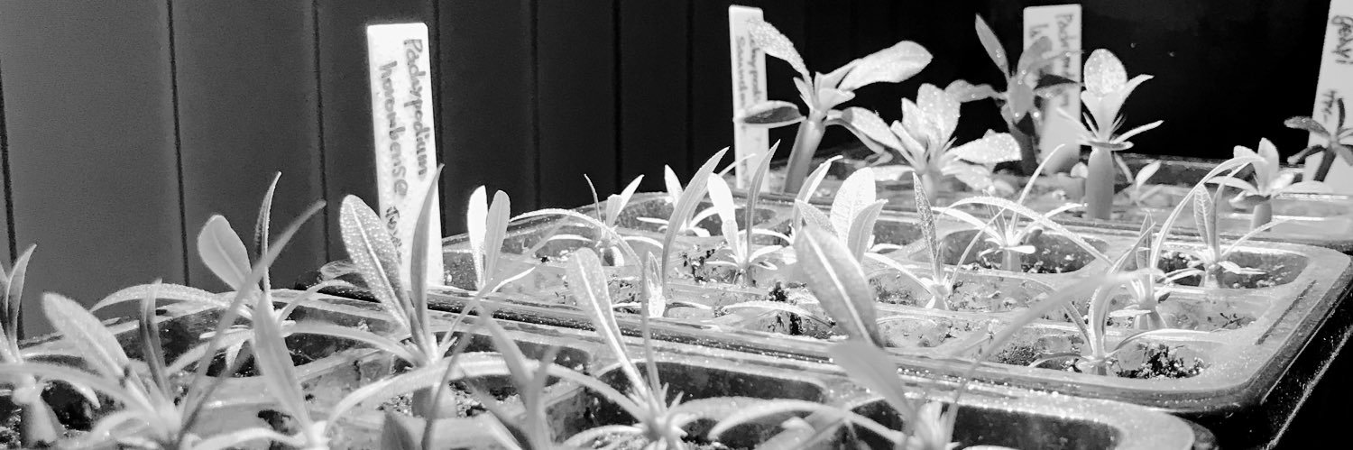 umf_mac's profile banner image