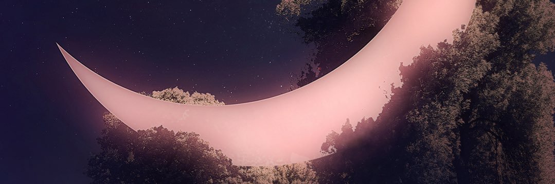 narisah77's profile banner image