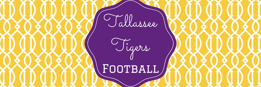 TopturtleTonya's profile banner image