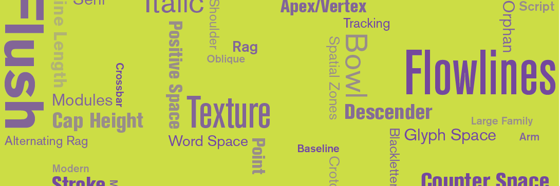 Ashleigh Mota banner