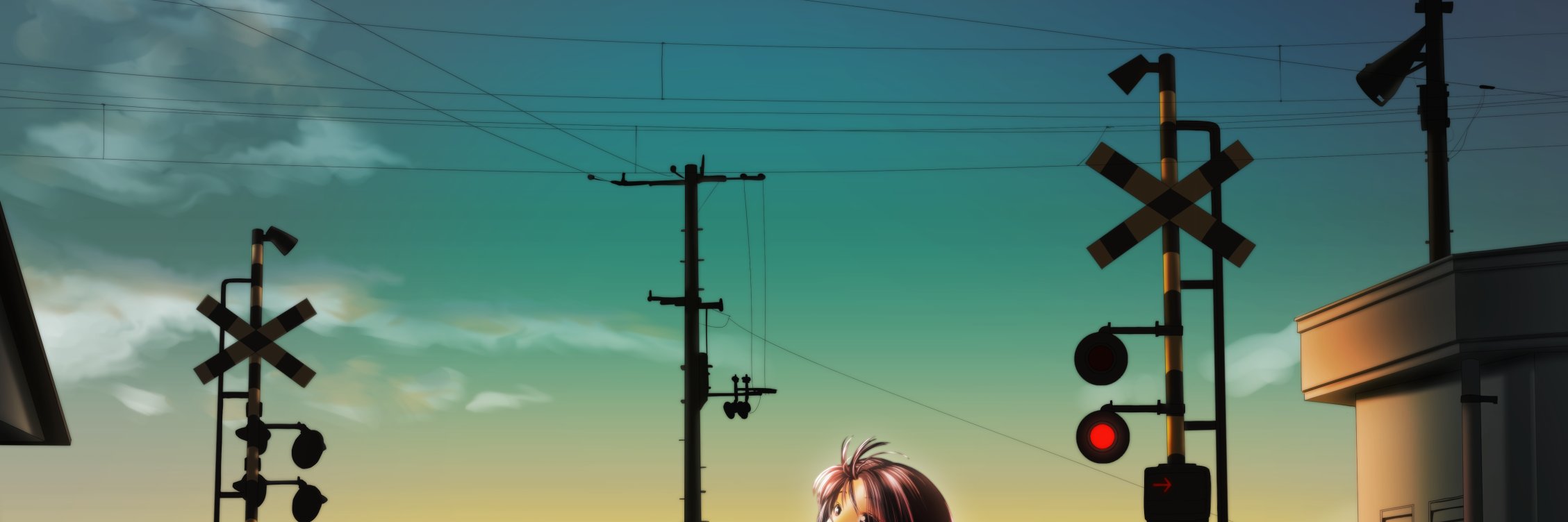 ryudvic's profile banner image