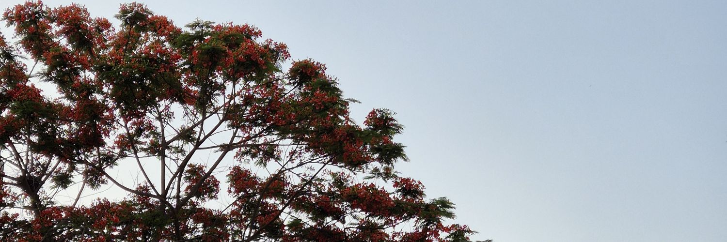 Preeti Khenta's banner