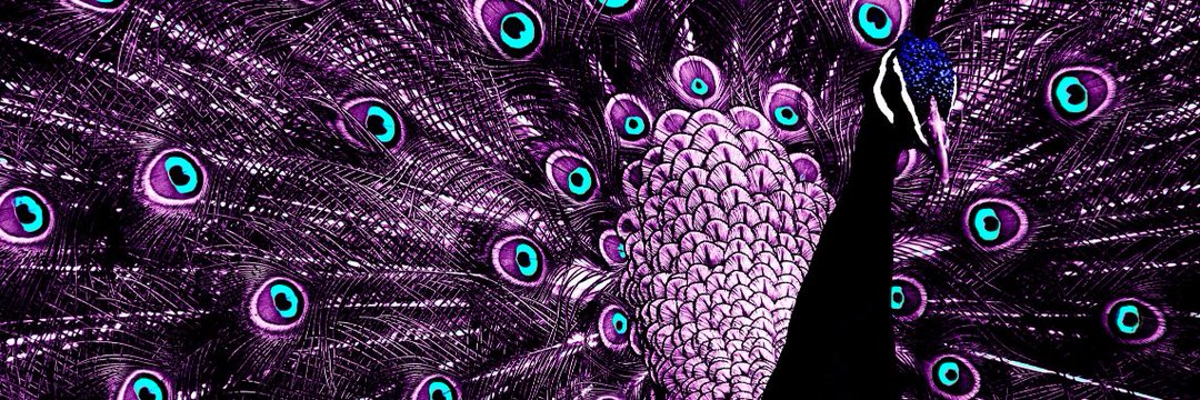 darwinbriceo's profile banner image