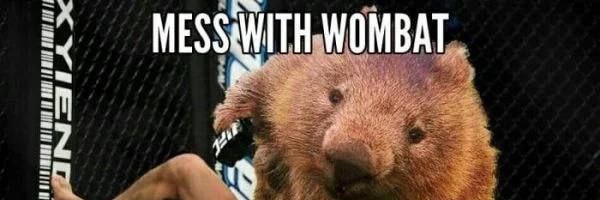 MAXX Wombat banner