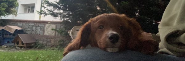 bambivemevsim Profile Banner