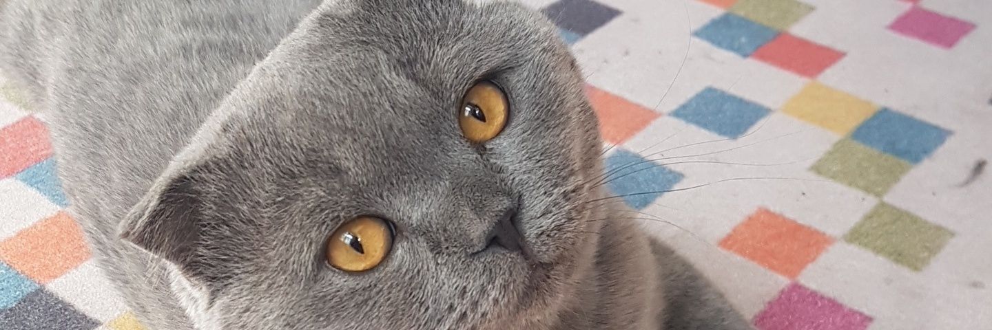 gencdilek75's profile banner image