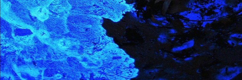 ELEVEN819_IGM's profile banner image