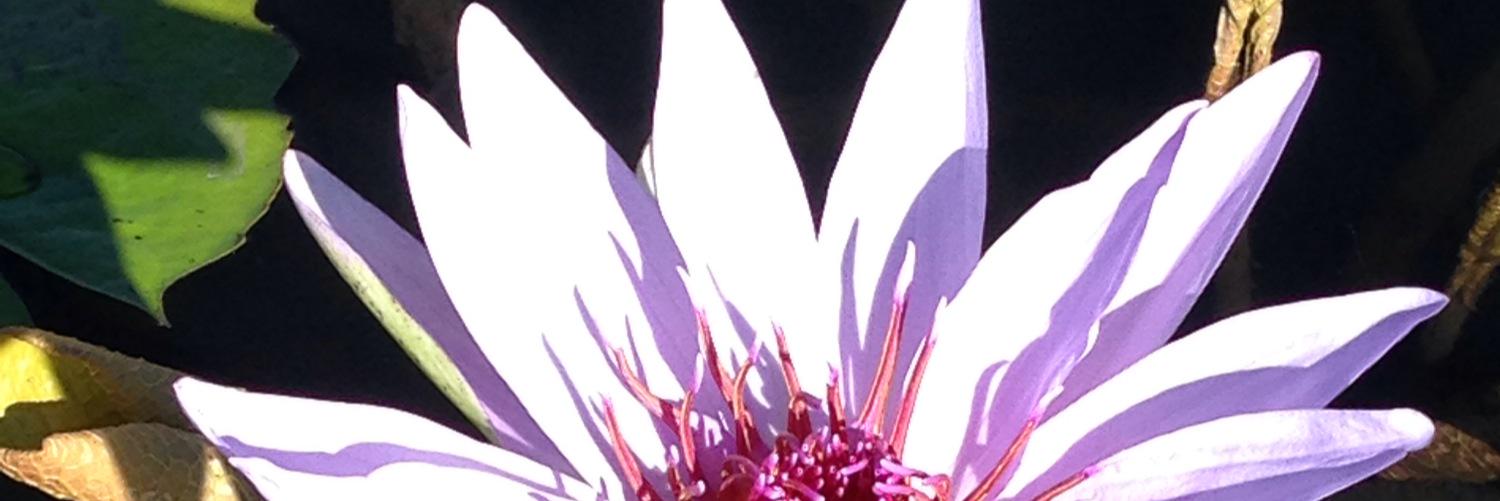 kc1eight's profile banner image