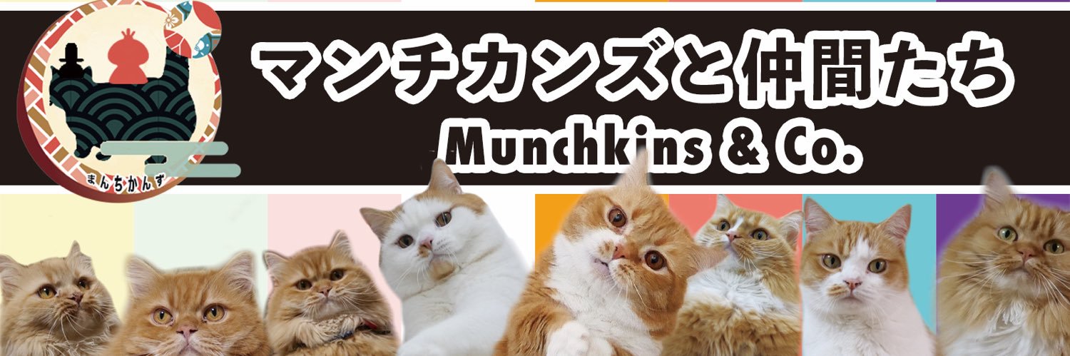studio_singa's profile banner image