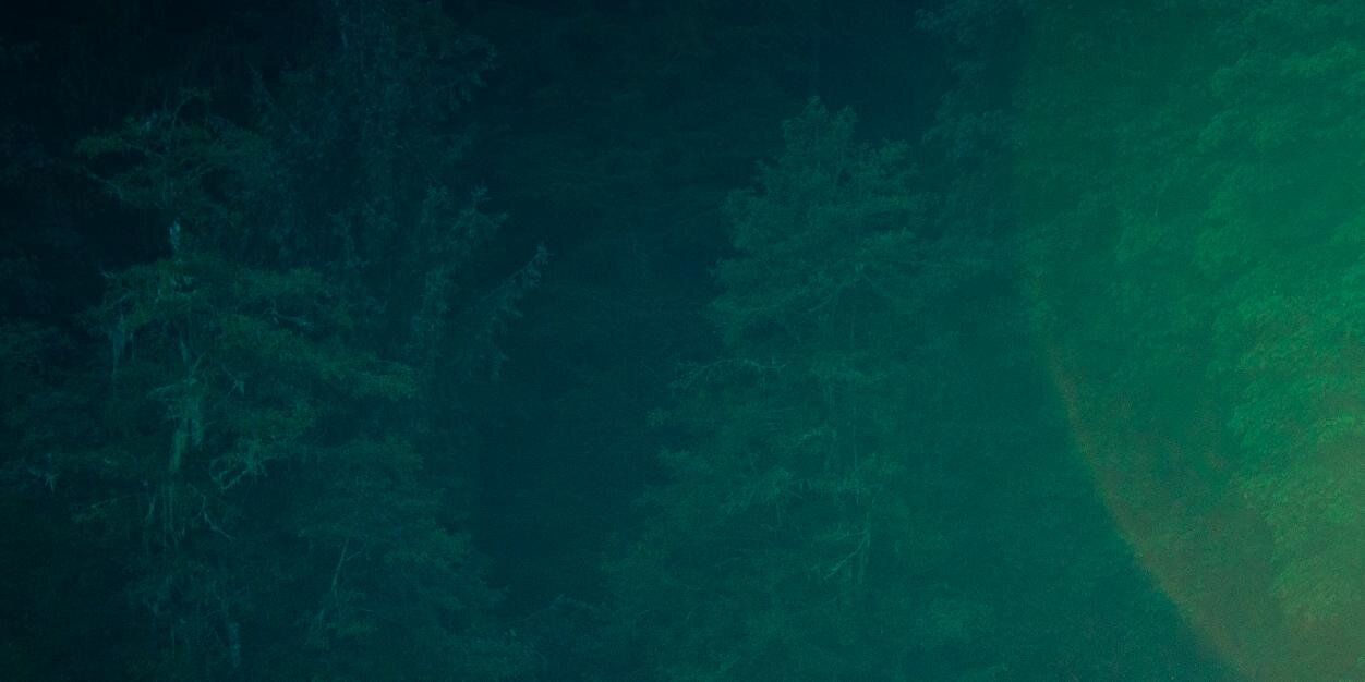 easecreative's profile banner image