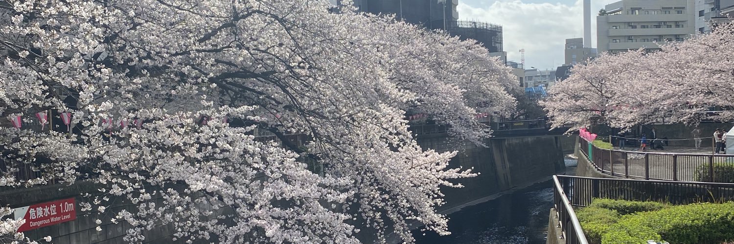 さくら banner