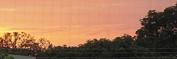 nomoneynojiggle Profile Banner