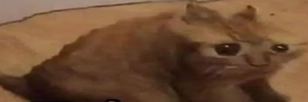 kinkyjar2 Profile Banner