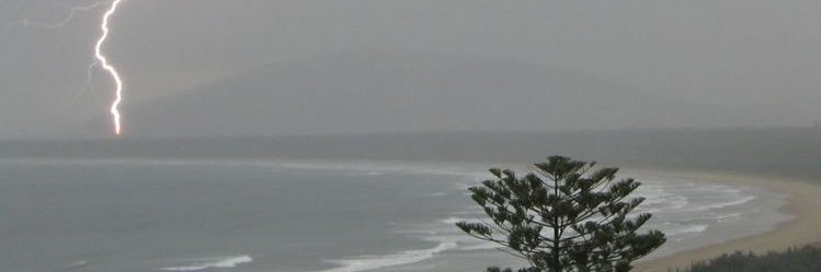 Felicia rich wanderer banner