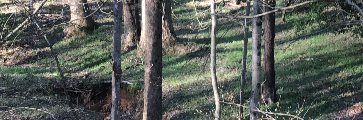 matthewkmcmahon's profile banner image