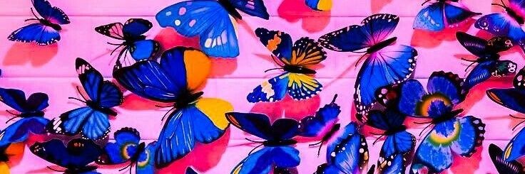 SakyMinaj's profile banner image