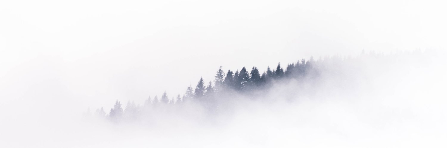 divasbrain's profile banner image