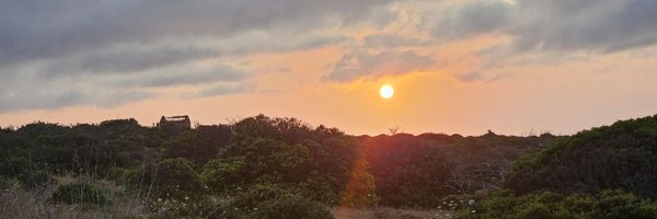 Champs822 Profile Banner