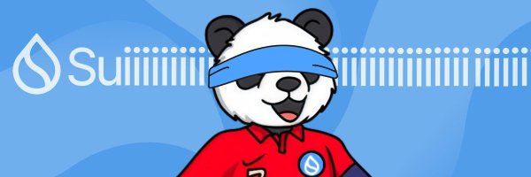 BpySui Profile Banner