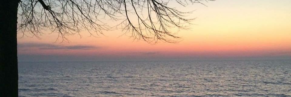 ZeeSultan's profile banner image