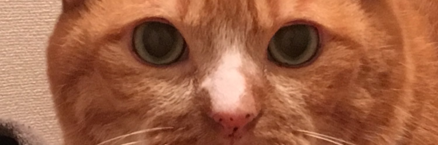 kirsch25's profile banner image
