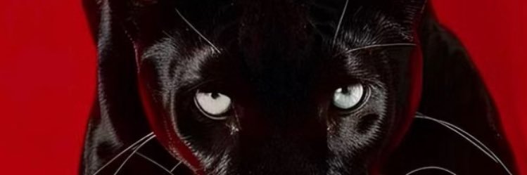 kaliahatom's profile banner image