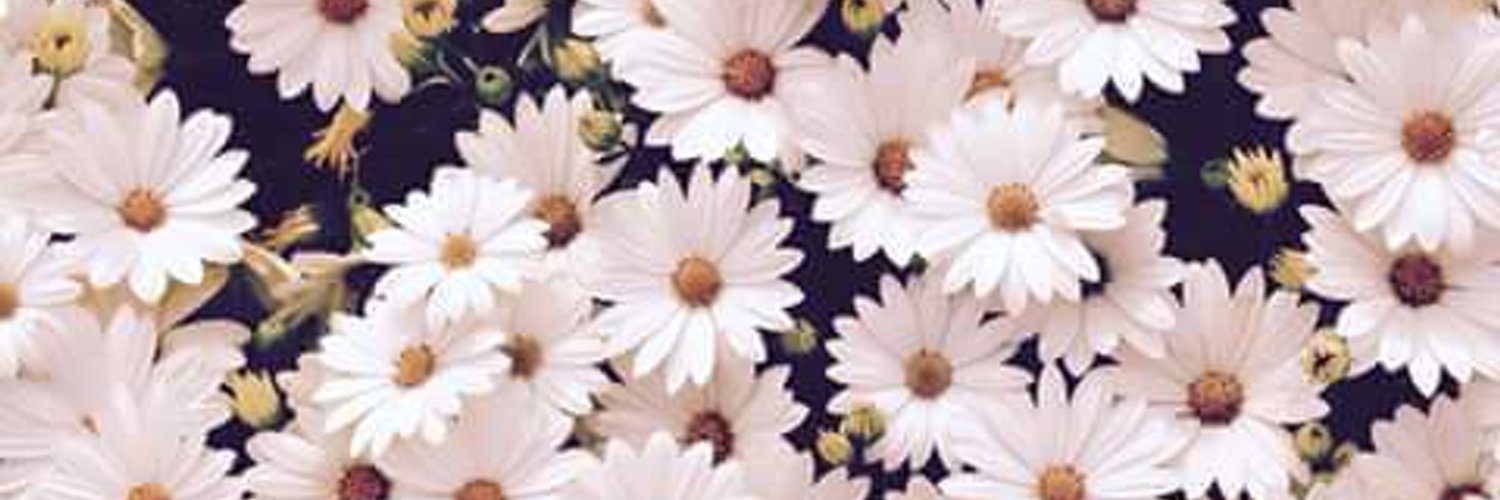 GuadaTomasi's profile banner image