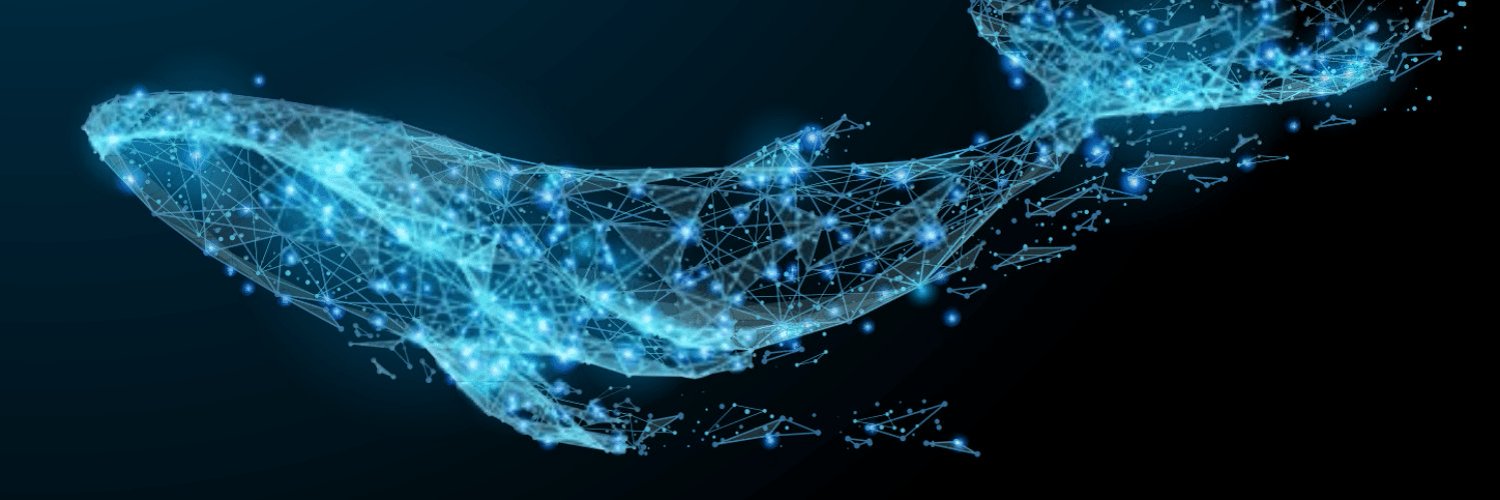 HazardCryptoSh's profile banner image