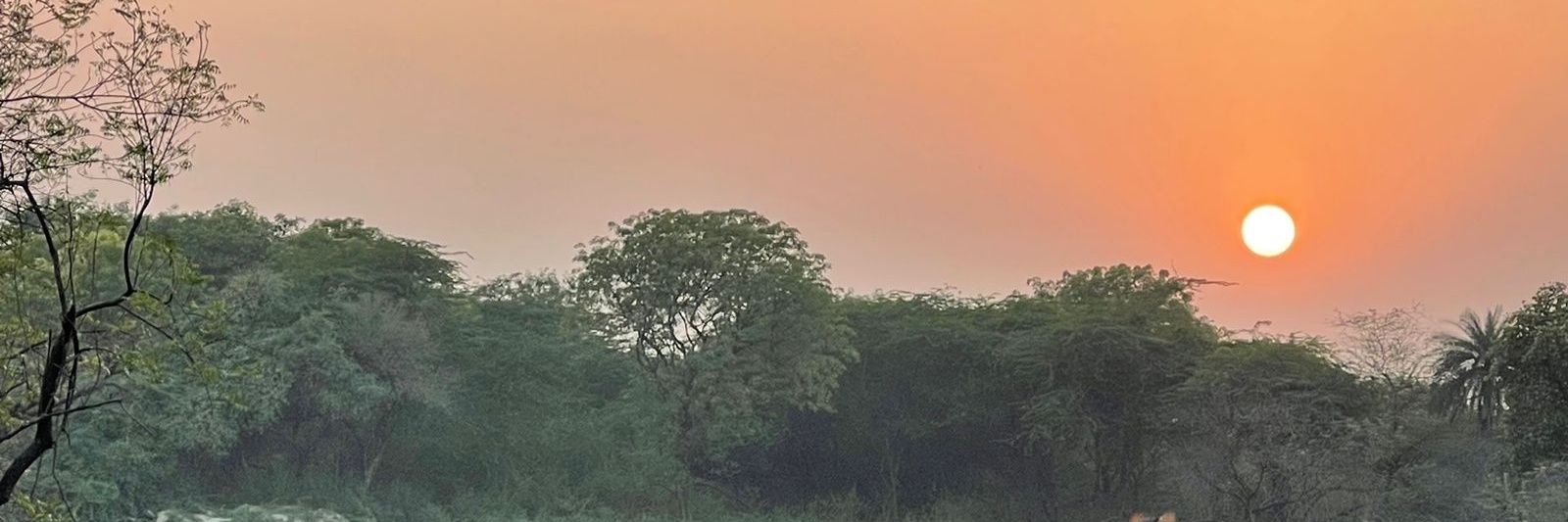 gantayet's profile banner image