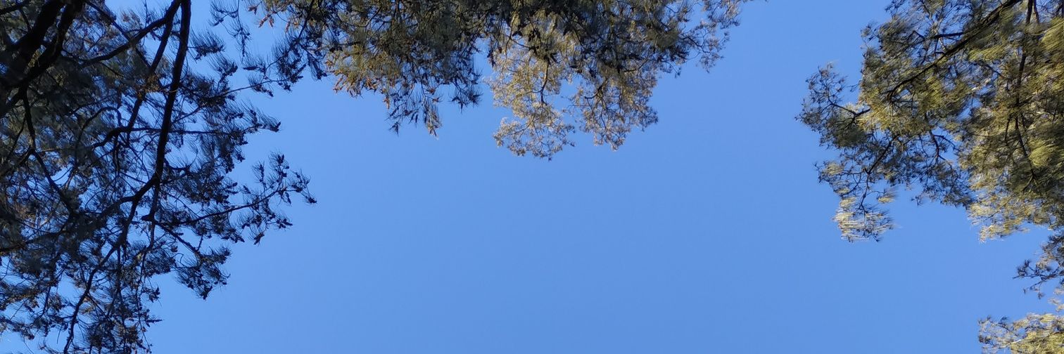 Ilhamjatin's profile banner image