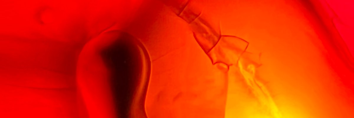 Braindigs.tez banner