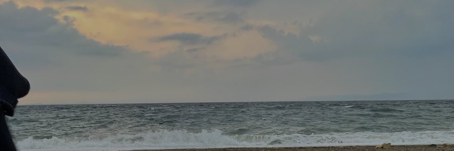 nepzeys's profile banner image