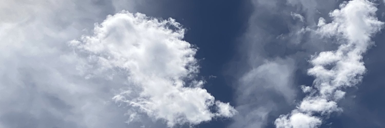 endlessloverman's profile banner image