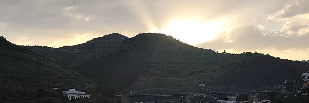 HBras_'s profile banner image