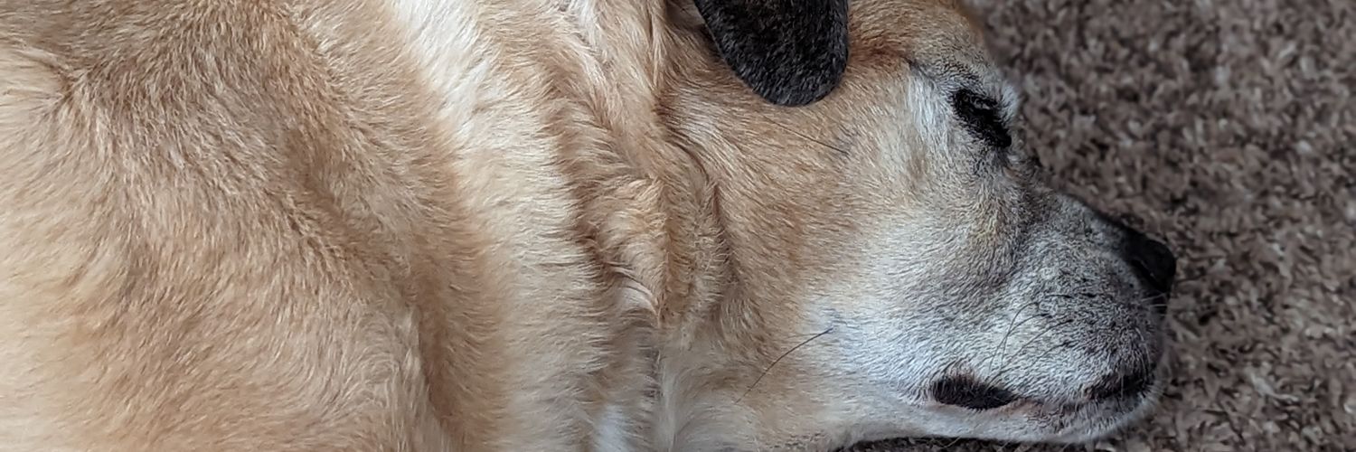 Six_Cx's profile banner image