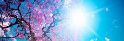jacqdejesus's profile banner image