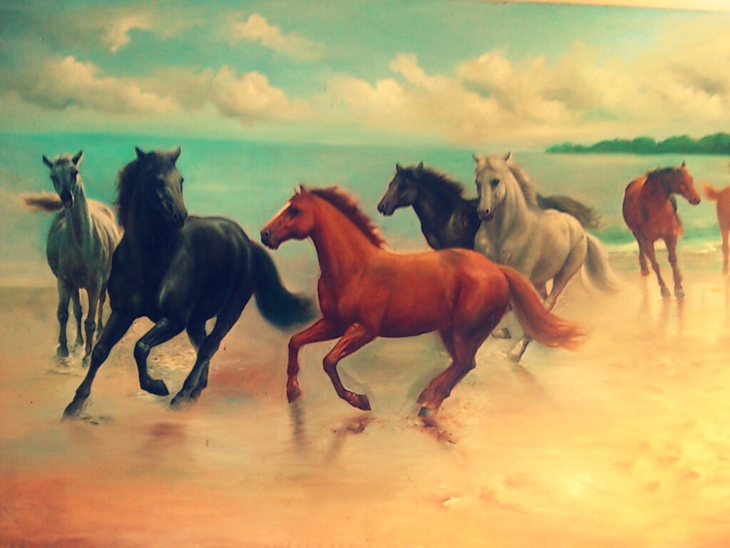 drjvvv's profile banner image