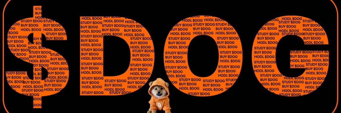 DIMExBAG 🟧 banner