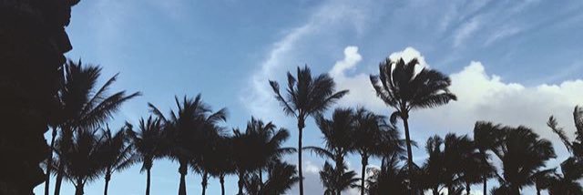 fancy9cy's profile banner image