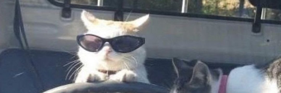 mrwn667_'s profile banner image