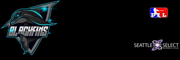 FinsBsbl Profile Banner