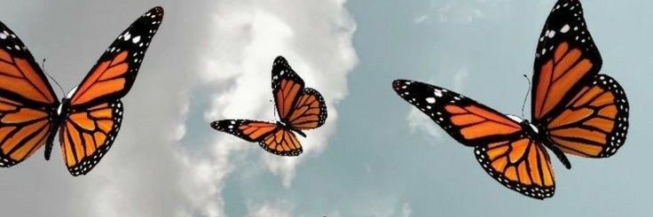 MeliAlmada_'s profile banner image