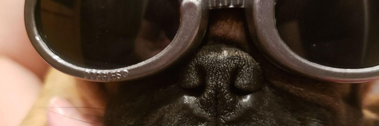 doomfunk's profile banner image