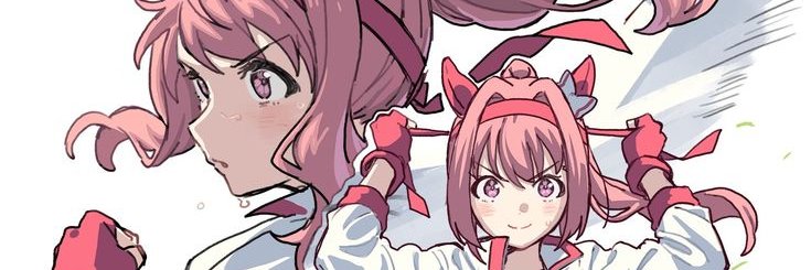 DevCat banner