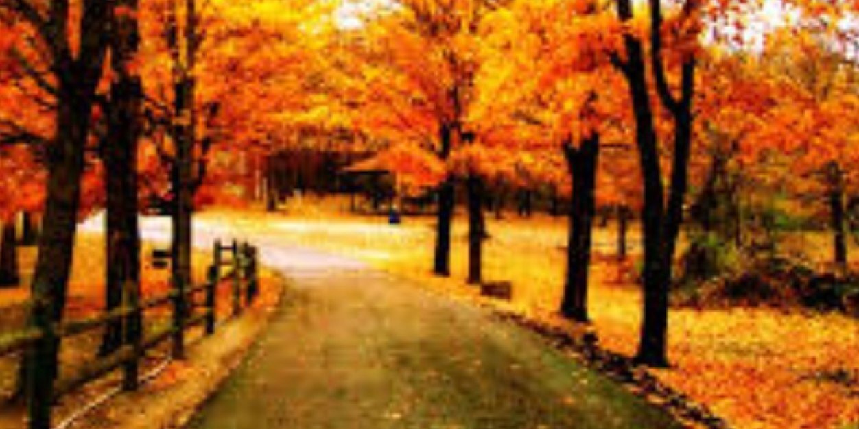 miranda_renae92's profile banner image