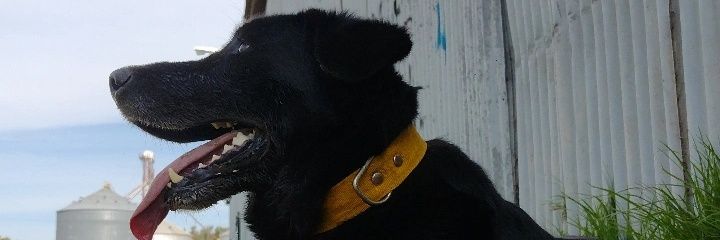 maitepaz2's profile banner image